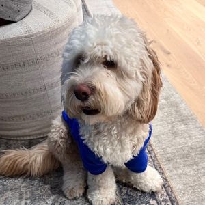 Meet your Posher, Ana